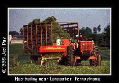 Joel Garber collecting hay bails in his father's tractor using a mechanized bail tosser.