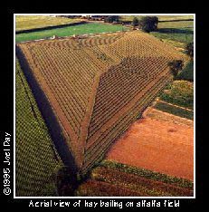 Aerial view of a freshly cut alfalfa field awaiting hay bailing creates the illusion of a pyramid.