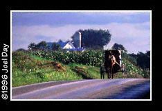 Amish Buggy near Strasburg, Pennsylvania.