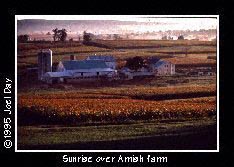 Late September Sunrise over maturing Corn Fields on Amish Dairy Farm near Strasburg, Pennsylvania.