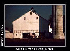 White Amish Barn behind work horses resting between field chores.