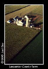 Aerial view of neat, well kept Amish Dairy Farm with fields of Corn and Alfalfa.