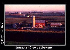Modern Lancaster County Dairy Farm with red barns near Strasburg, Pennsylvania.