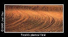 Freshly planted field near Turkey Hill, Pennsylvania.